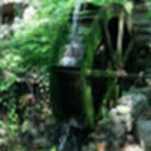 Meet your Posher, Paige